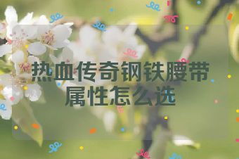 热血传奇钢铁腰带属性怎么选