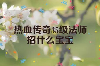 热血传奇35级法师招什么宝宝