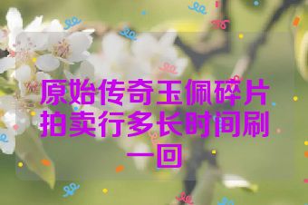原始传奇玉佩碎片拍卖行多长时间刷一回