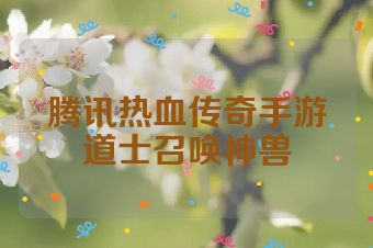 腾讯热血传奇手游道士召唤神兽