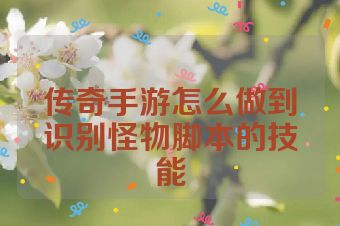 传奇手游怎么做到识别怪物脚本的技能
