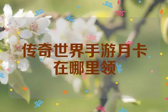 传奇世界手游月卡在哪里领