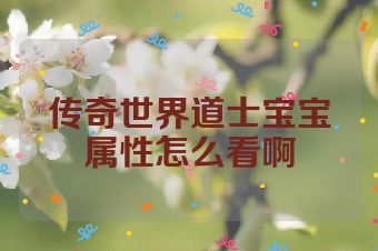 传奇世界道士宝宝属性怎么看啊