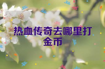 热血传奇去哪里打金币