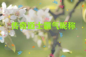 传奇道士霸气昵称