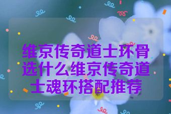 维京传奇道士环骨选什么维京传奇道士魂环搭配推荐