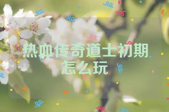 热血传奇道士初期怎么玩