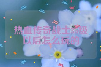 热血传奇战士35级以后怎么玩的