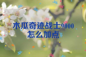 木瓜奇迹战士9000怎么加点