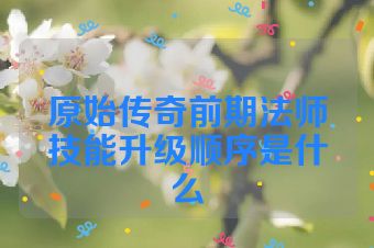 原始传奇前期法师技能升级顺序是什么