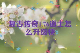 复古传奇1.76道士怎么升级快