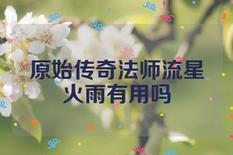 原始传奇法师流星火雨有用吗