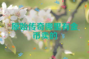 原始传奇哪里有金币卖的