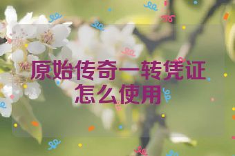 原始传奇一转凭证怎么使用