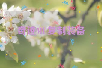 奇迹MU复制装备