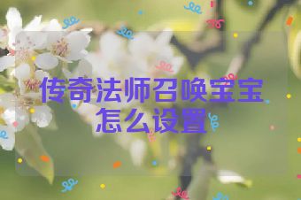 传奇法师召唤宝宝怎么设置