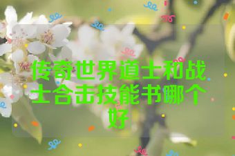 传奇世界道士和战士合击技能书哪个好