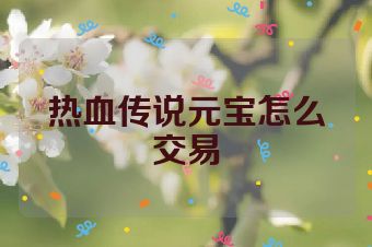 热血传说元宝怎么交易