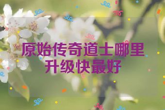 原始传奇道士哪里升级快最好