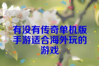 有没有传奇单机版手游适合海外玩的游戏