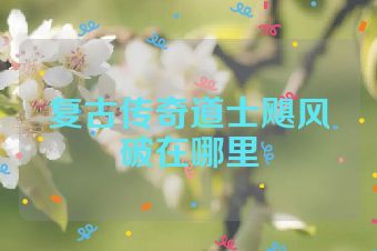 复古传奇道士飓风破在哪里