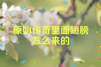 原始传奇里面翅膀怎么来的