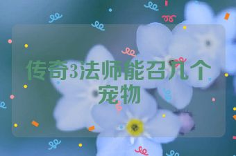 传奇3法师能召几个宠物