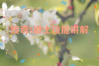 传奇3道士技能讲解