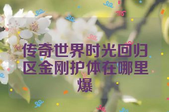 传奇世界时光回归区金刚护体在哪里爆