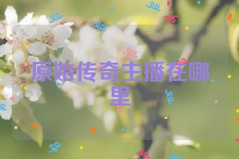 原始传奇主播在哪里