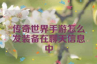 传奇世界手游怎么发装备在聊天信息中