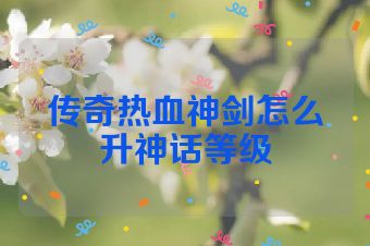 传奇热血神剑怎么升神话等级