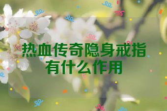 热血传奇隐身戒指有什么作用