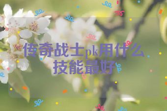 传奇战士pk用什么技能最好