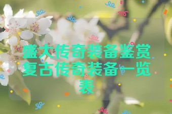盛大传奇装备鉴赏复古传奇装备一览表