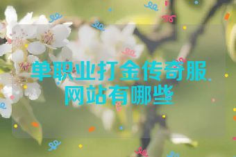 单职业打金传奇服网站有哪些