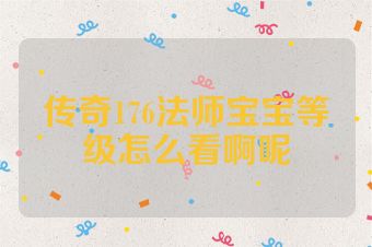 传奇176法师宝宝等级怎么看啊呢