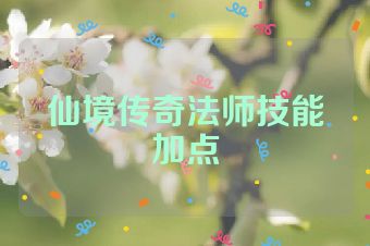 仙境传奇法师技能加点