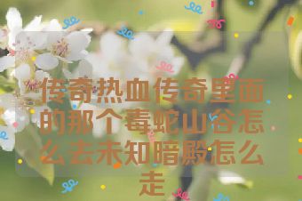 传奇热血传奇里面的那个毒蛇山谷怎么去未知暗殿怎么走