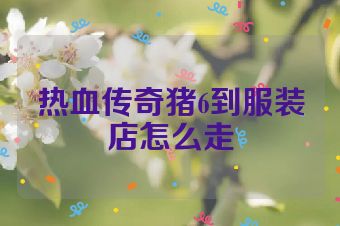 热血传奇猪6到服装店怎么走