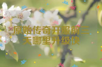 原始传奇开服前三天哪里升级快