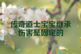 传奇道士宝宝继承伤害是固定的