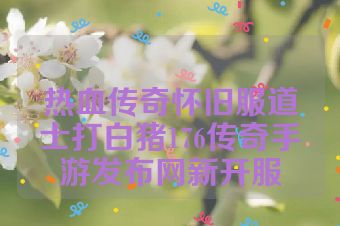 热血传奇怀旧服道士打白猪176传奇手游发布网新开服