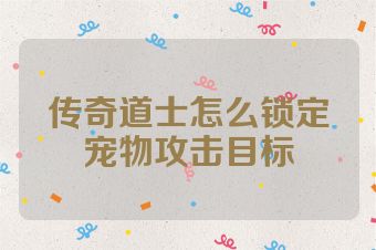传奇道士怎么锁定宠物攻击目标