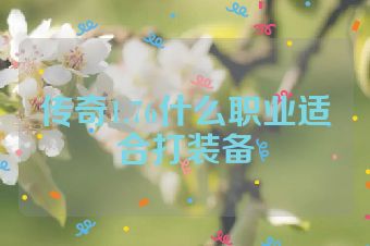 传奇1.76什么职业适合打装备
