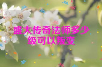盛大传奇法师多少级可以叛变