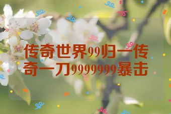 传奇世界99归一传奇一刀9999999暴击