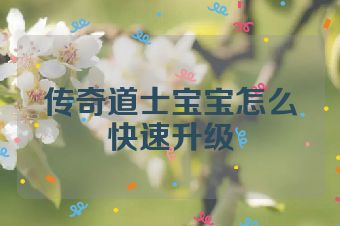 传奇道士宝宝怎么快速升级