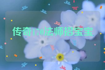 传奇170法师招宝宝