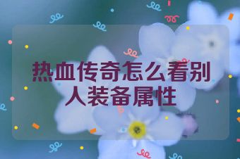 热血传奇怎么看别人装备属性